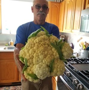 Meet your Posher, Steaven